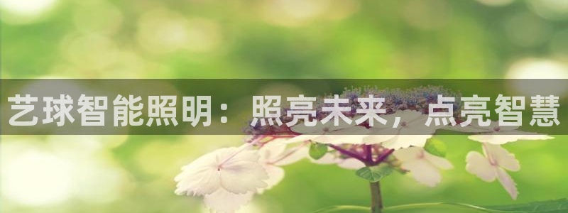 云顶集团专属app