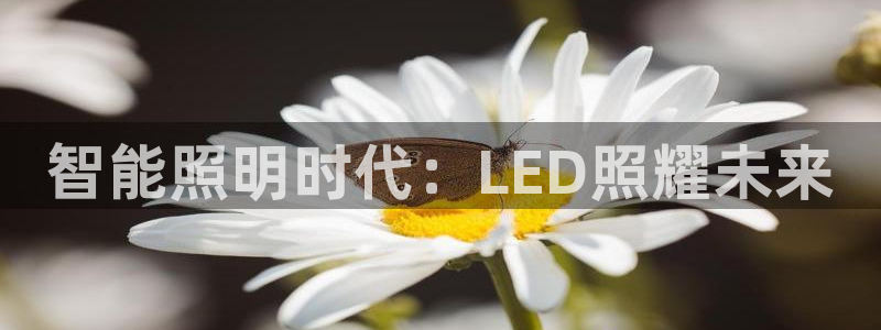 云顶国际服s10