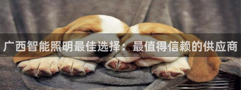 太原云顶国际酒店老板是谁