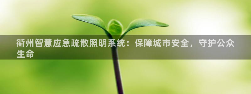 手游云顶国际服更新