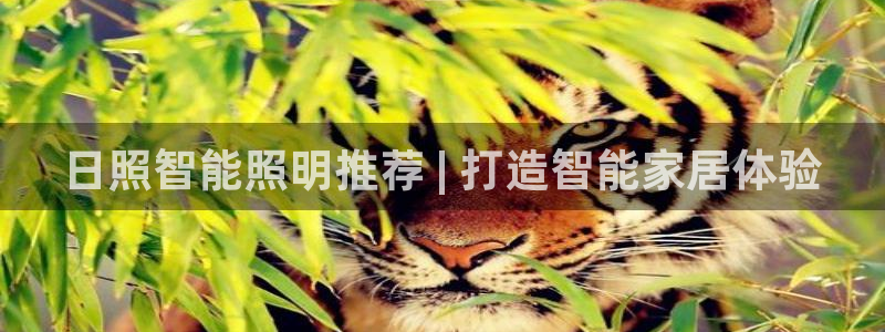 云顶国际yun588