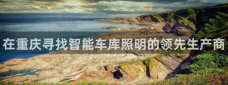 云顶集团app免费下载安卓
