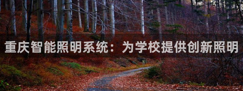 云顶国际服什么时候更新s115