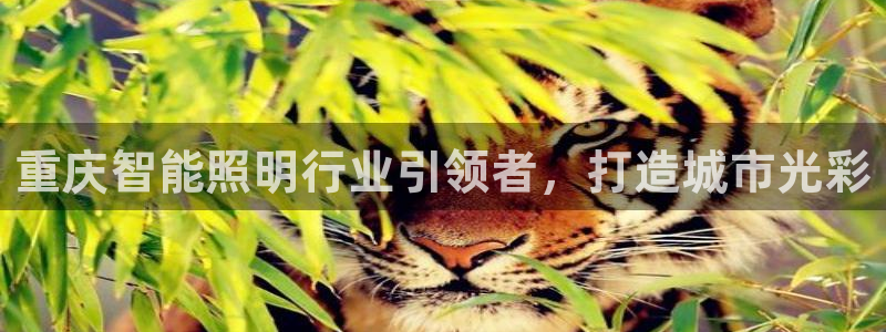 云顶国际服s11什么时候上线