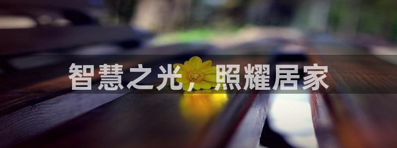 云顶国际服怎么选服务器