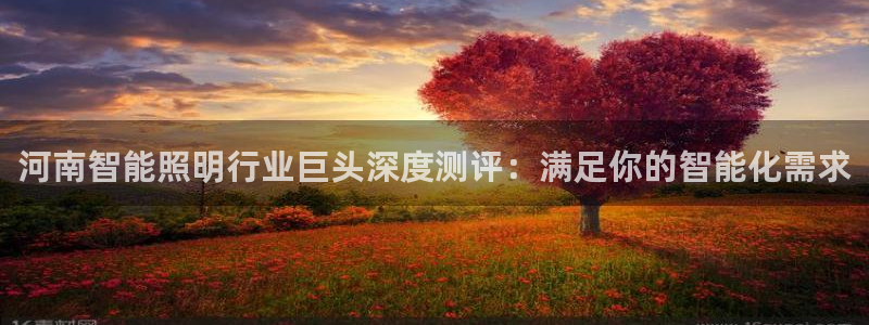 云顶vn