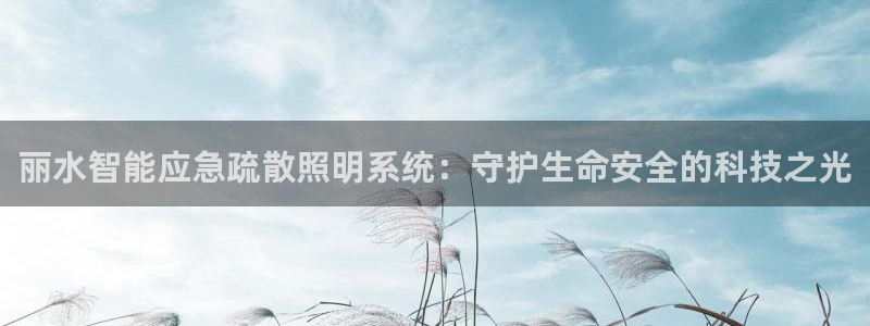 云顶集团中国区总裁