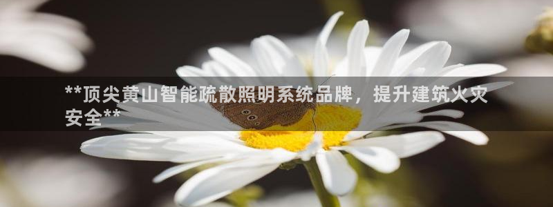 云顶国际酒店电话