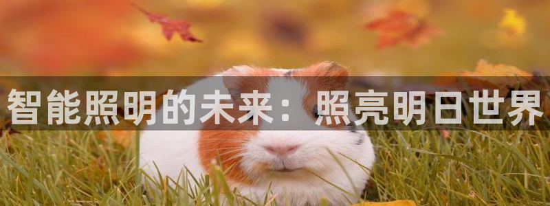 云顶国际足球app下载安卓