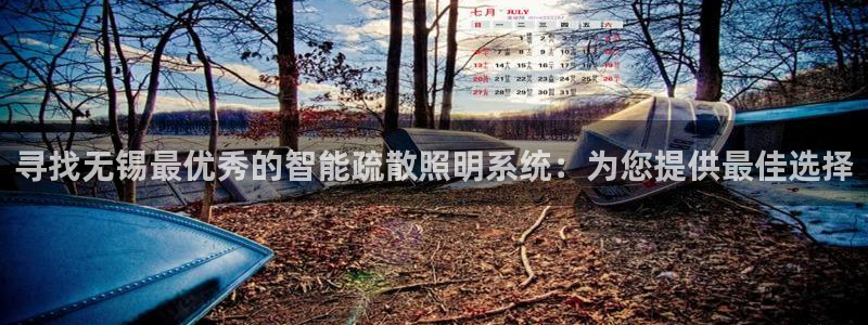 云顶国际服s11什么时候更新