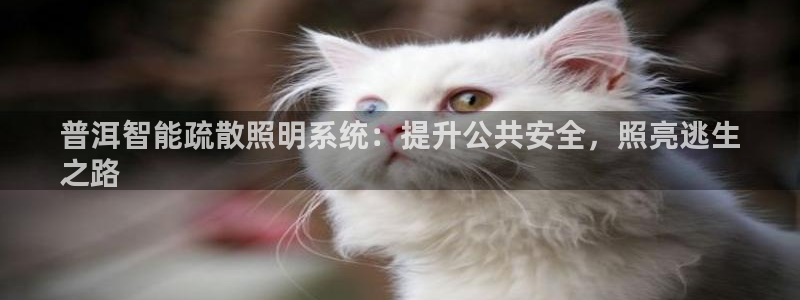 云顶集团简介