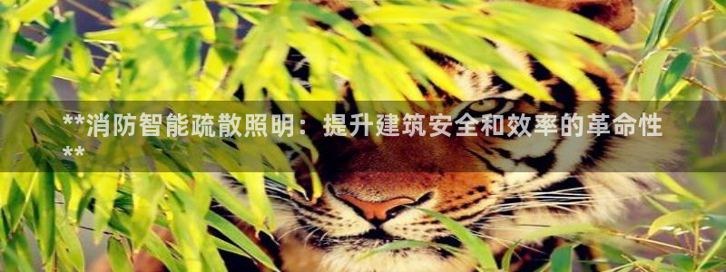 云顶国际官网