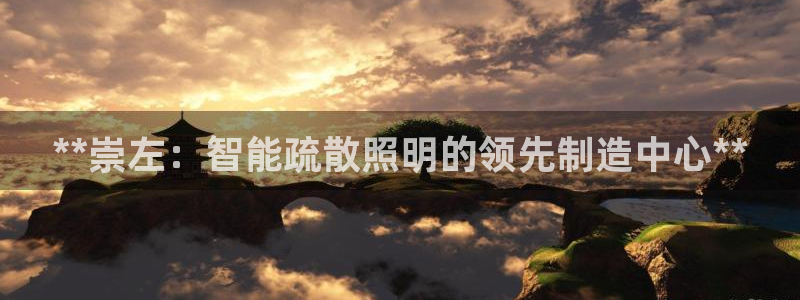 云顶国际是做什么的公司
