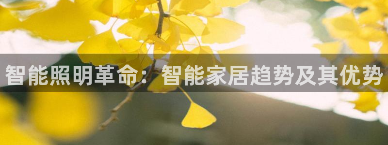 云顶电子游戏app
