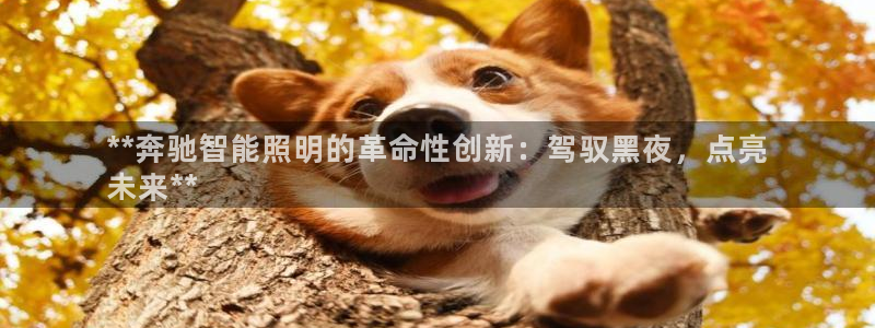 云顶国际酒店老板简介