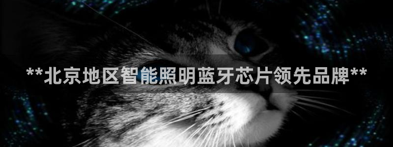 云顶国际ktv会所怎么样