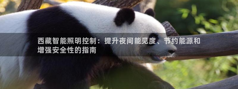 云顶国际APP