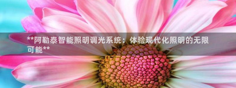 云顶国际服怎么选服务器
