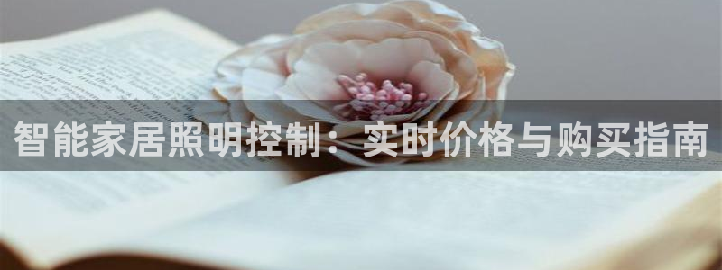 云顶国际投资有限公司怎么样