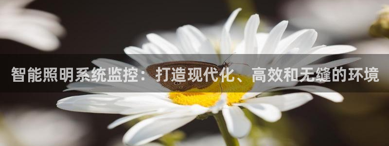 云顶集团app
