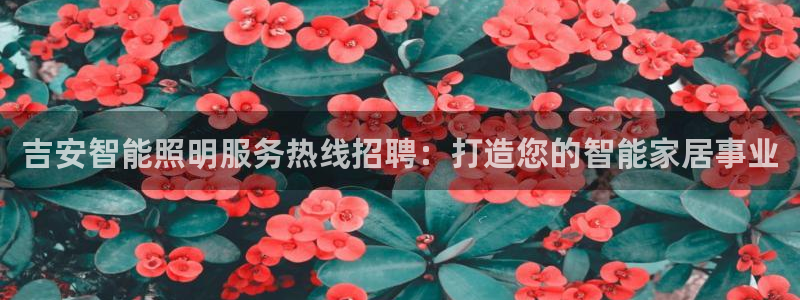 云顶集团网投领头