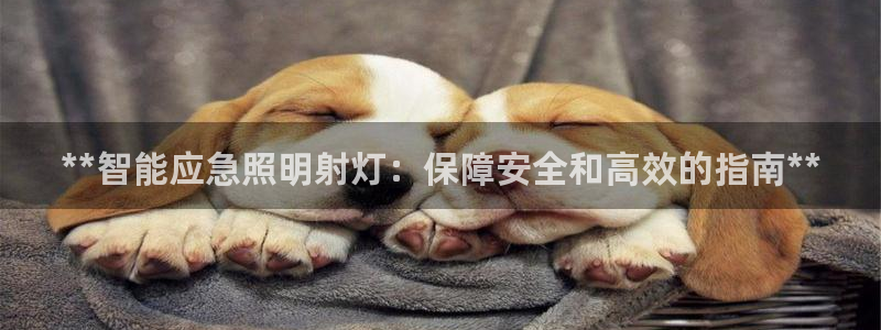 云顶国际会议中心在哪