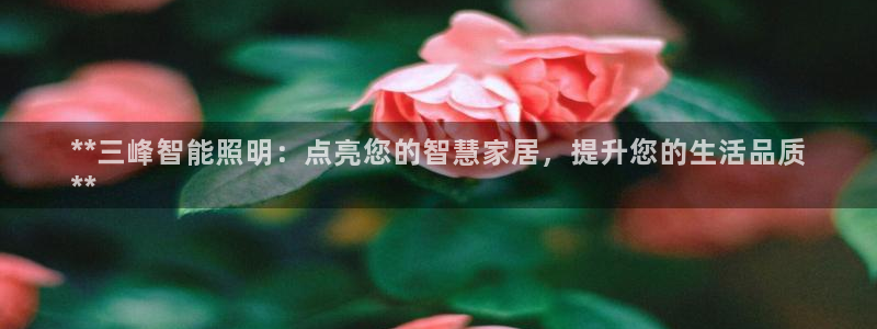 云顶国际商业广场怎么样