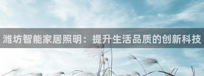 yd云顶集团app下载