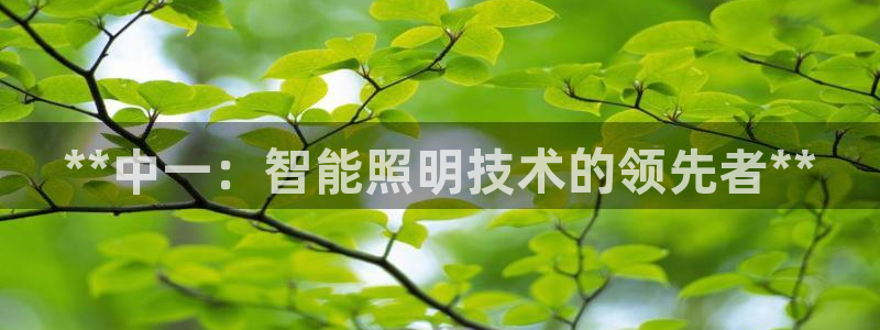 云顶国际集团官网网址