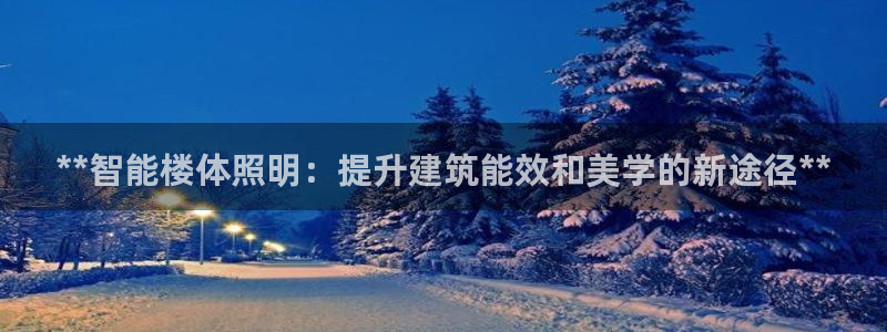 云顶国际服修改不了传说装备