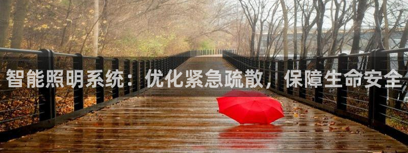 云顶国际是什么公司