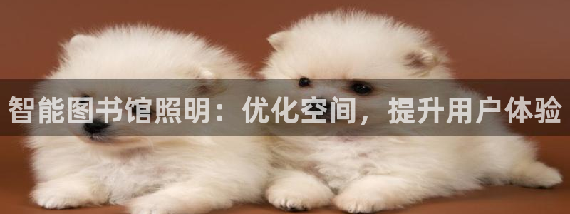 云顶国际商业广场A座101电话