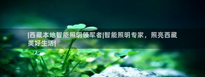 云顶国际赌彩公司下载