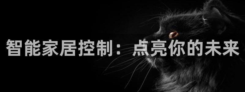 云顶国际集团 深圳