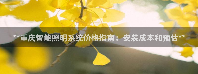云顶手游国际版