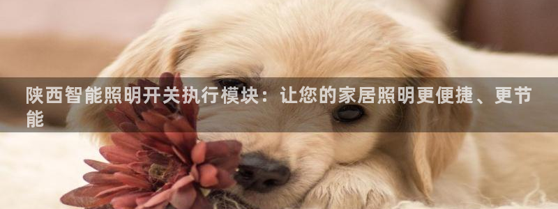 云顶集团网页