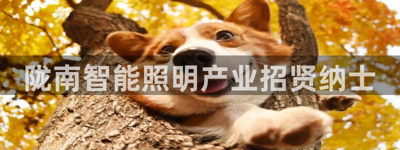 云顶电竞app怎么样