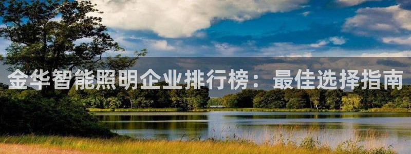 云顶国际物流官网