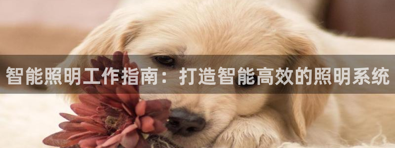 云顶国际唯一官方网站是哪个