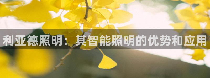 云顶国际教育