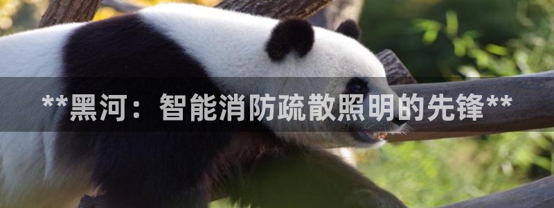 云顶国际软装公司怎么样