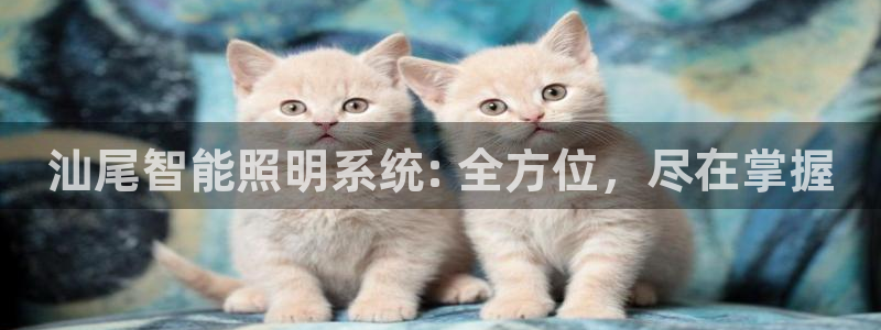 云顶集团公司董事长是谁