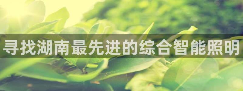 yd云顶国际