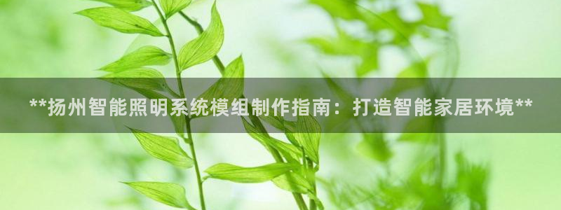 云顶国际服加速器