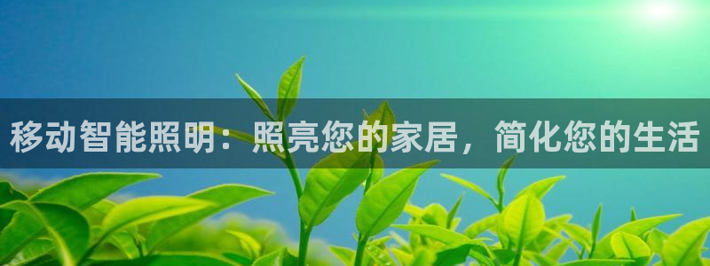 禹州云顶国际二手房