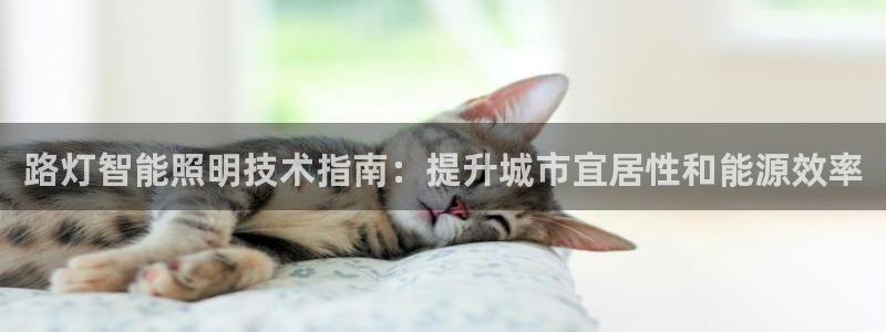 云顶国际网站能玩吗