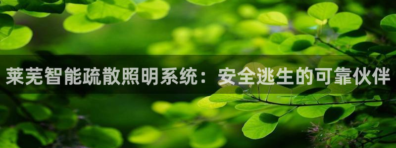 云顶国际yd333团体官网