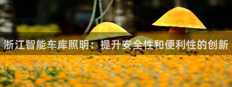 云顶国际软装公司怎么样