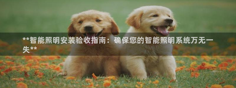 国际服端游云顶在哪下载