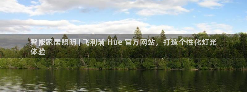云顶集团有限公司,林东简历
